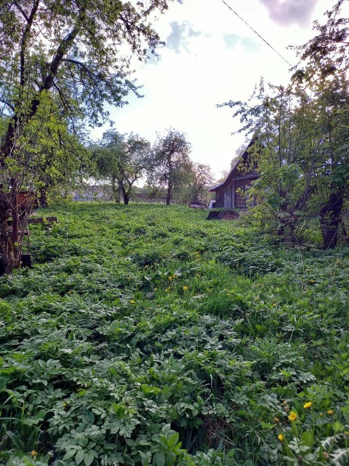 Продаётся деревянный дом в деревне Рясино возле Печерска (под снос).
Отопление дровяное, газ и центральное водоснабжение идут рядом с участком.

Участок ровный, межевание выполнено. 
На участке большой плодоносящий яблоневый сад. 
Имеется хороший деревянный сарай и погреб.

Отличное место для постро